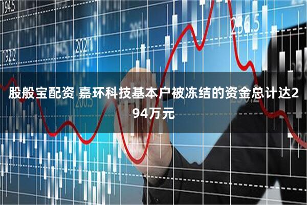 股般宝配资 嘉环科技基本户被冻结的资金总计达294万元