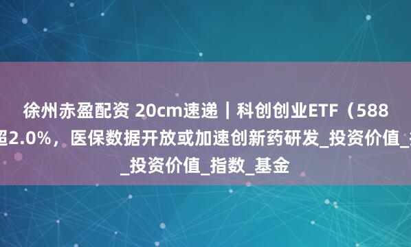 徐州赤盈配资 20cm速递｜科创创业ETF（588360）涨超2.0%，医保数据开放或加速创新药研发_投资价值_指数_基金