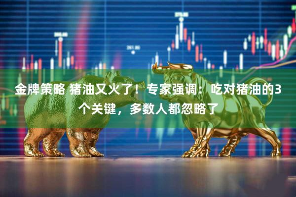 金牌策略 猪油又火了！专家强调：吃对猪油的3个关键，多数人都忽略了